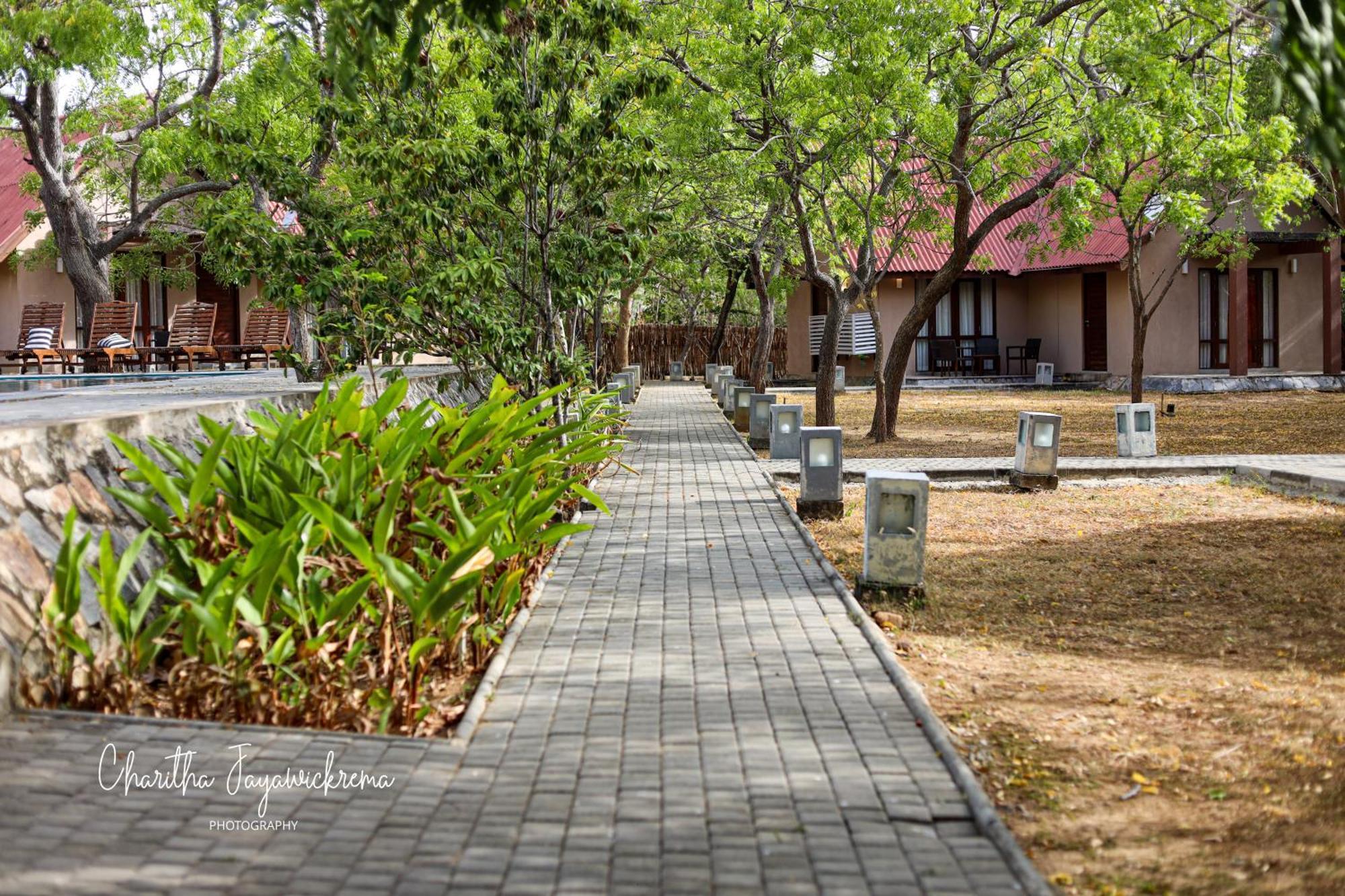 Yala Chalets By Lalan Leisure Киринда Экстерьер фото